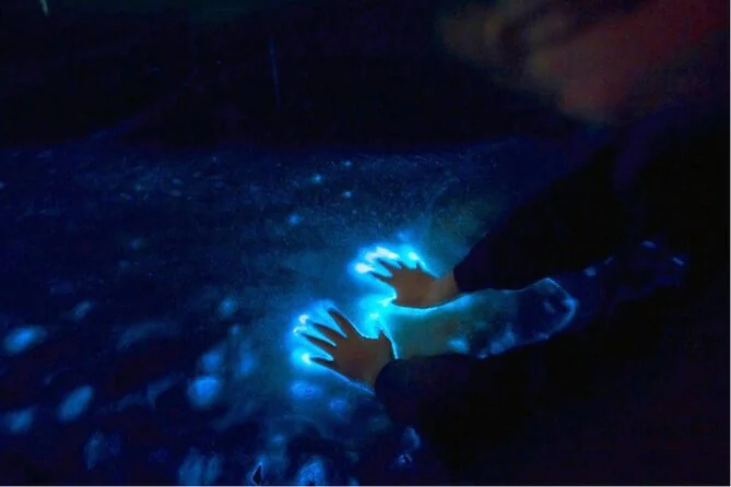 Sunset & Bioluminescence at Los Arcos
