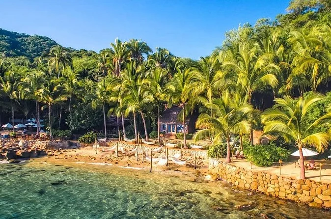 Palm trees above a calm beach at Las Caletas